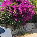 Garden House Kastellani-4bd&garden Near Corfutown Casa de Campo *
