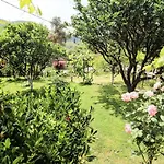 Garden House Kastellani-4bd&garden Near Corfutown Kastellanoi (Parelioi, Corfu)