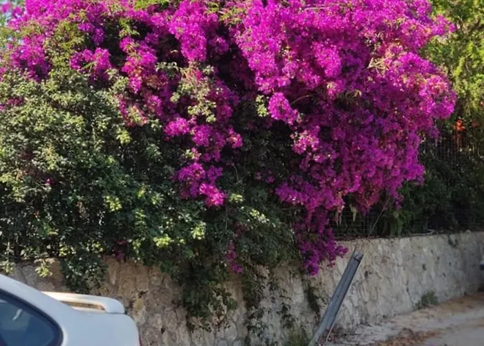 Garden House Kastellani-4bd&garden Near Corfutown Εξοχικό σπίτι *