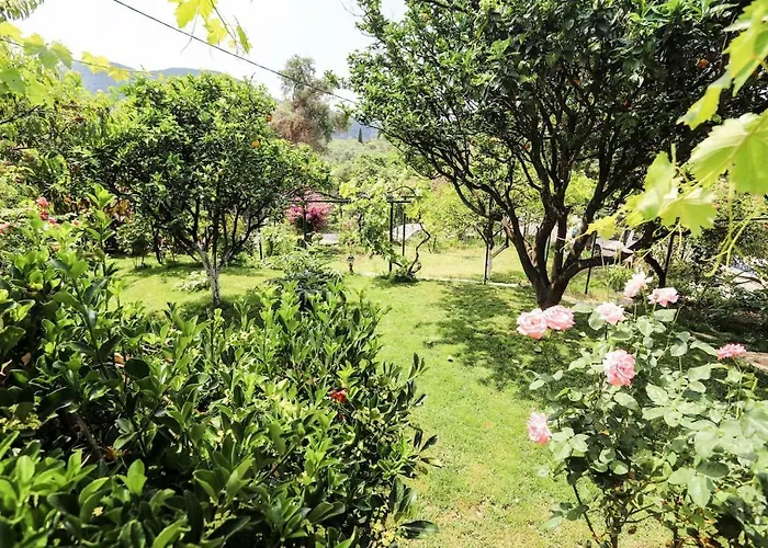 Garden House Kastellani-4bd&garden Near Corfutown Kastellanoi (Parelioi, Corfu)