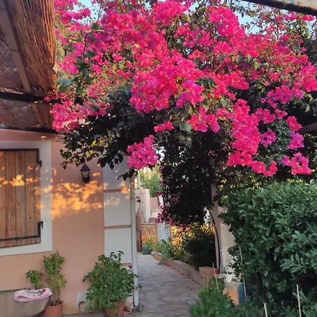 Garden House Kastellani-4bd&garden Near Corfutown Εξοχικό σπίτι *