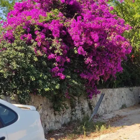 Garden House Kastellani-4bd&garden Near Corfutown Εξοχικό σπίτι *