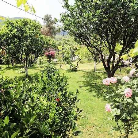 Garden House Kastellani-4bd&garden Near Corfutown Kastellanoi (Parelioi, Corfu)